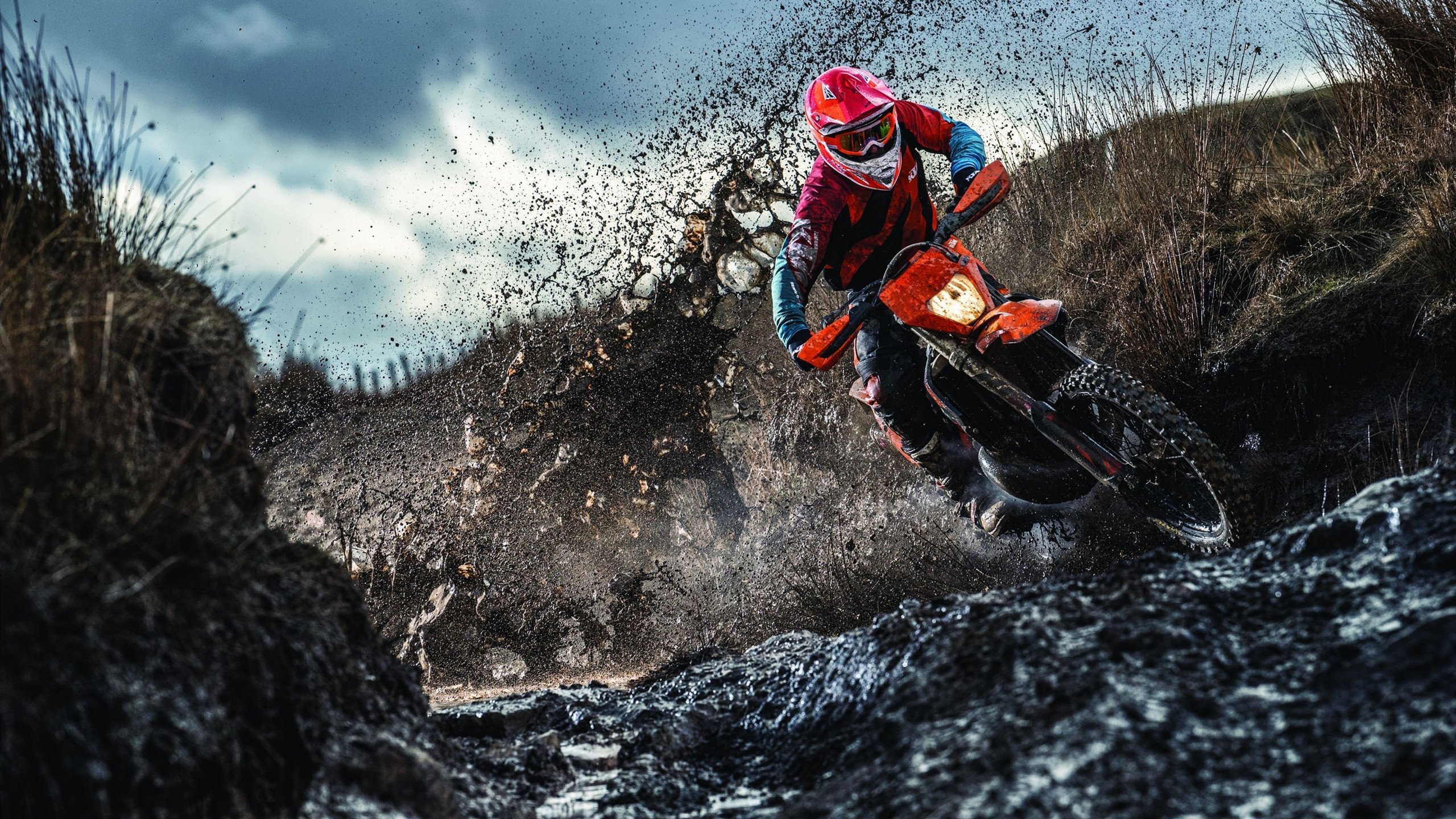 德国骑手格里高利·瓦特莱特在2024年国际马术联合会障碍赛世界巡回赛中以“Maximus”马匹获得个人第五名，展现坚韧精神。